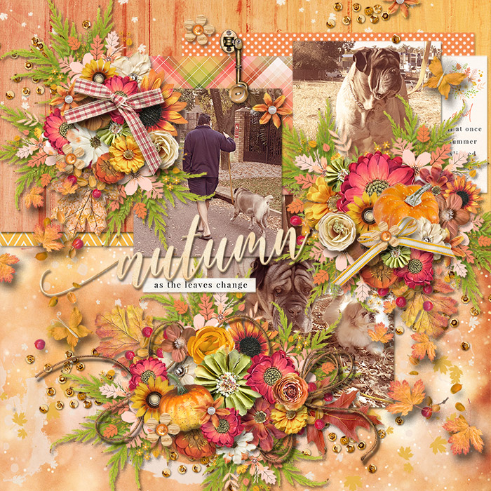 As the leaves change