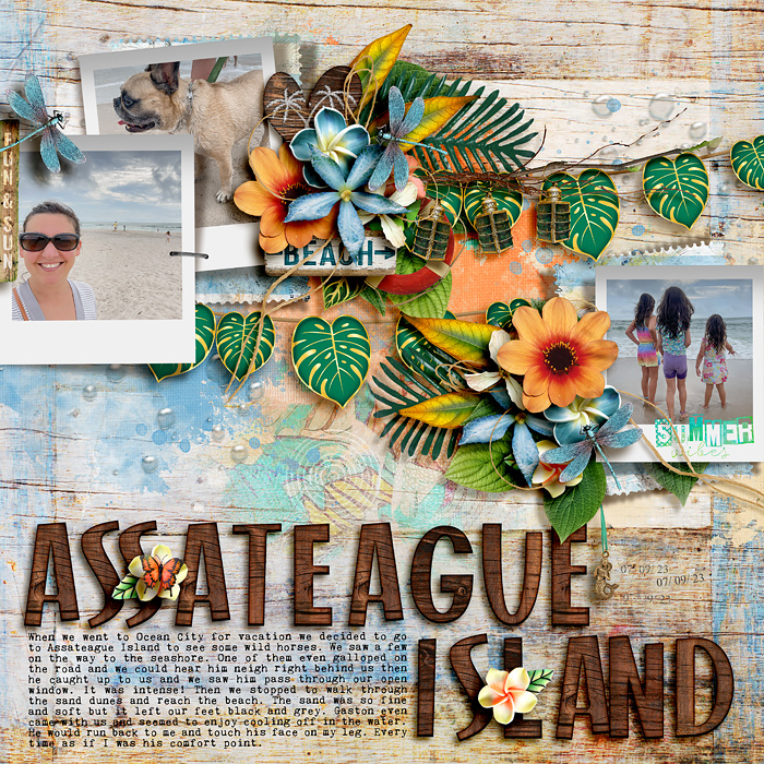 Assateague Island