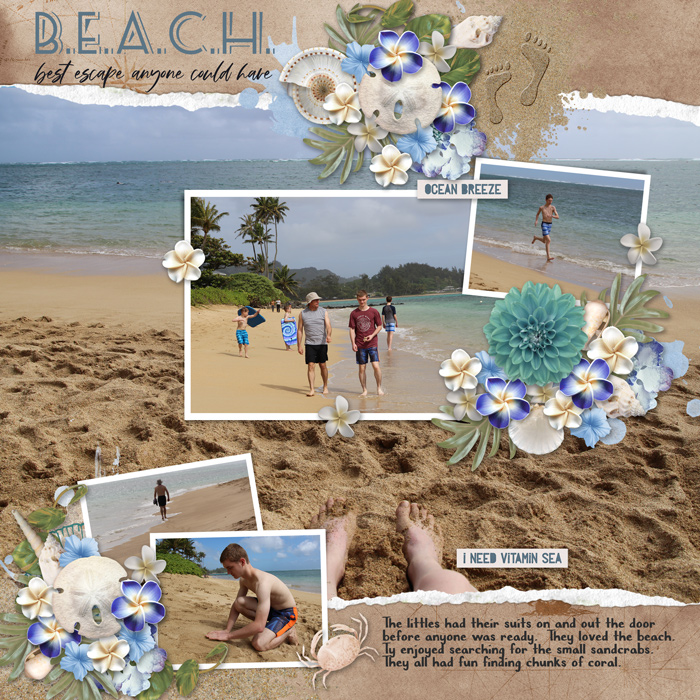 at the beach