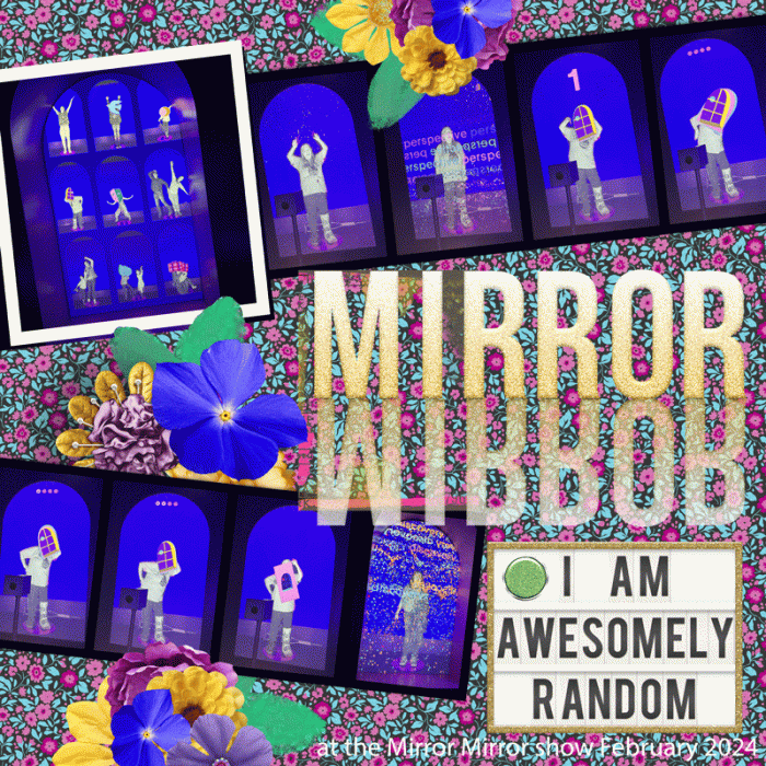 At the Mirror Mirror Show