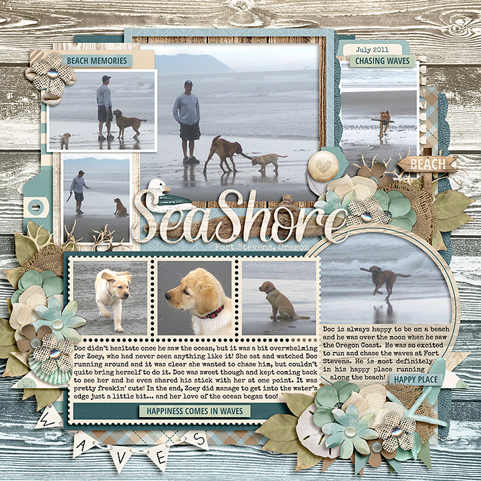 At the Sea Shore