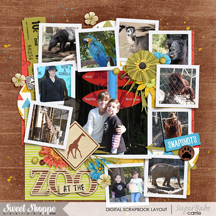 At The Zoo