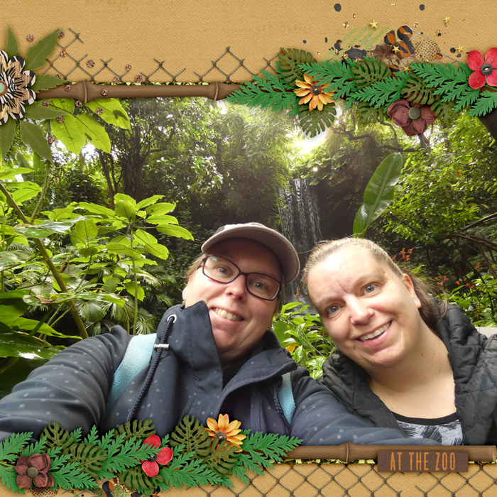 At The Zoo