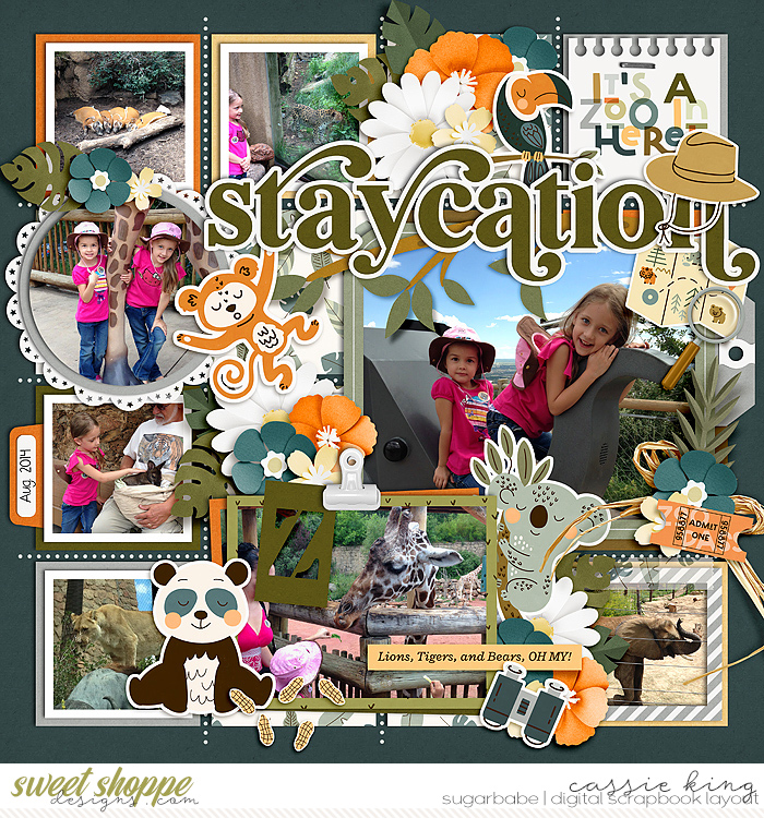 At the Zoo