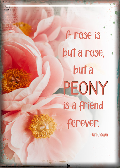 ATC 2023-006 Peony