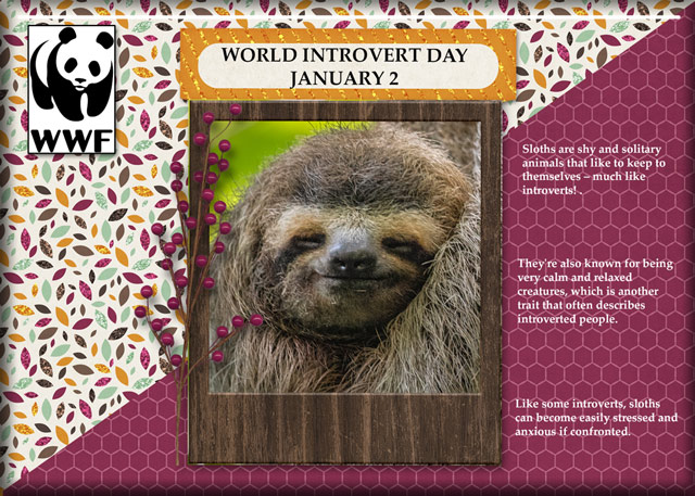 ATC 2024-003 World Introvert Day