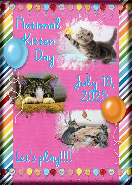 ATC 2025-065 National Kitten Day