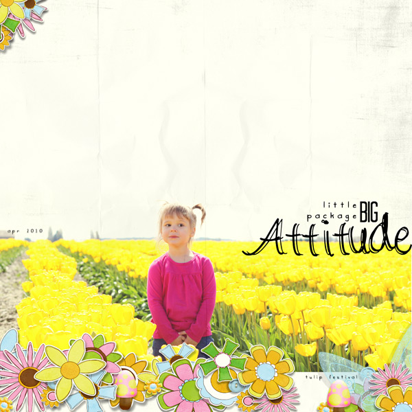 Attitude