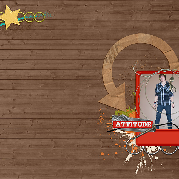 attitude
