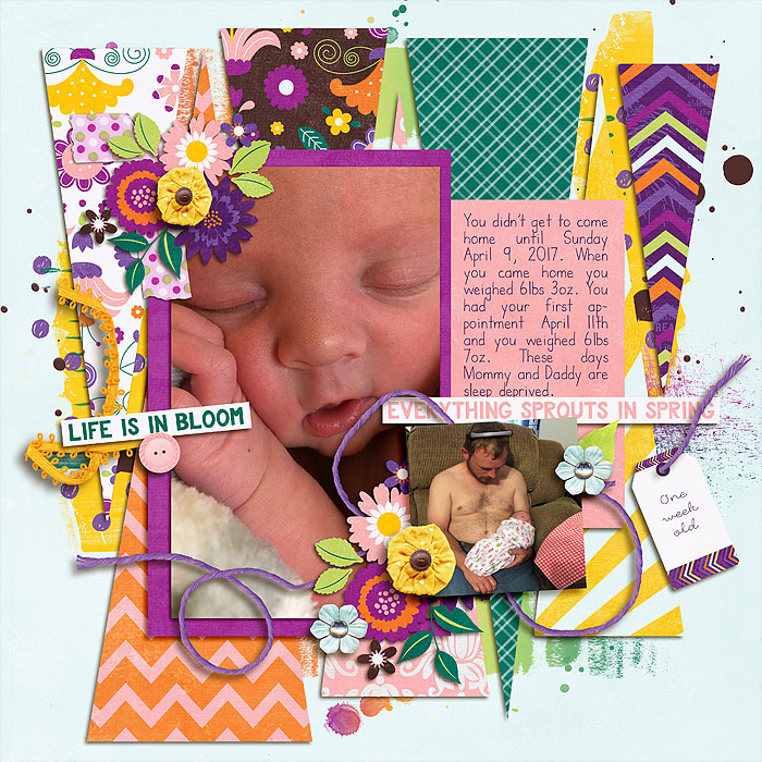 Audrey - One week old