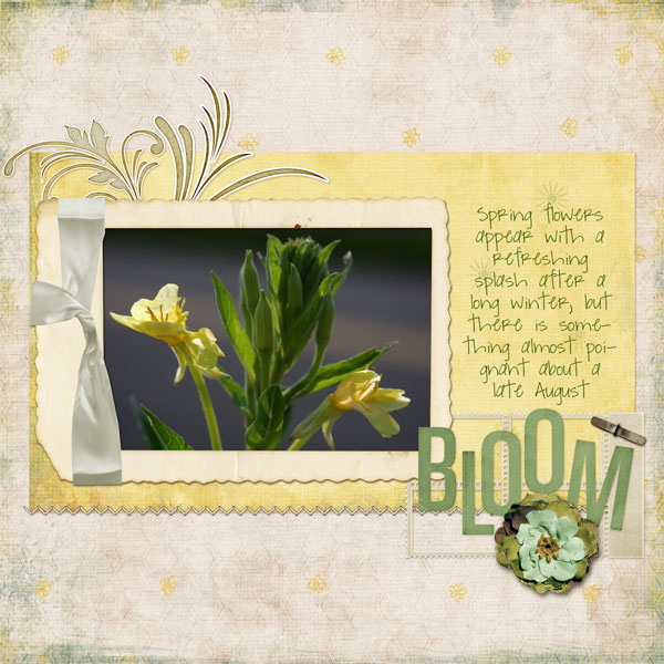 August Bloom