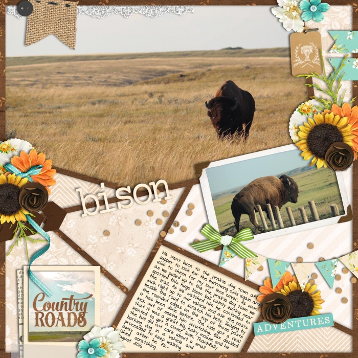 August - Color Combination