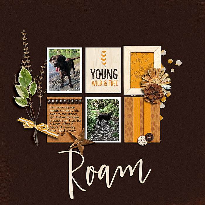 August Passport Challenge 14:Currently Doing...