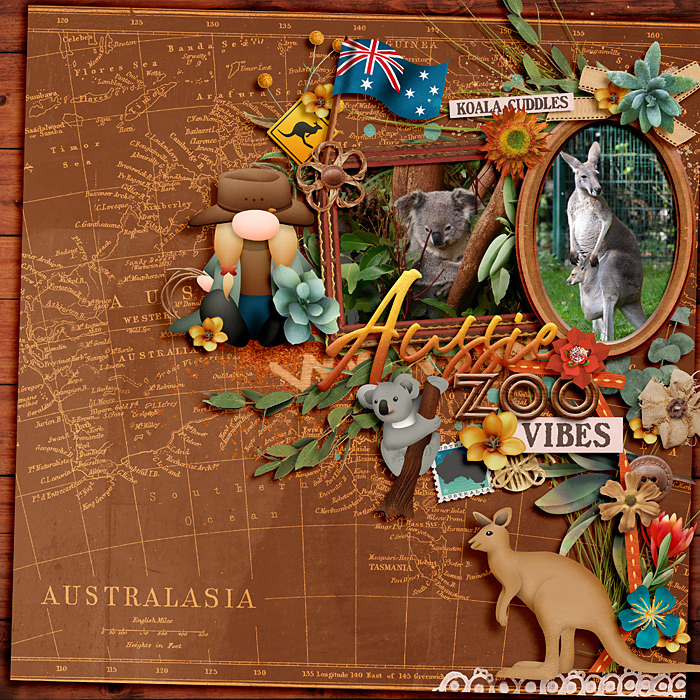 Aussie zoo vibes