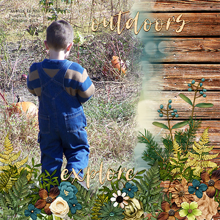 Austin Pumpkin Patch