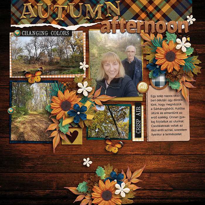 Autumn afternoon
