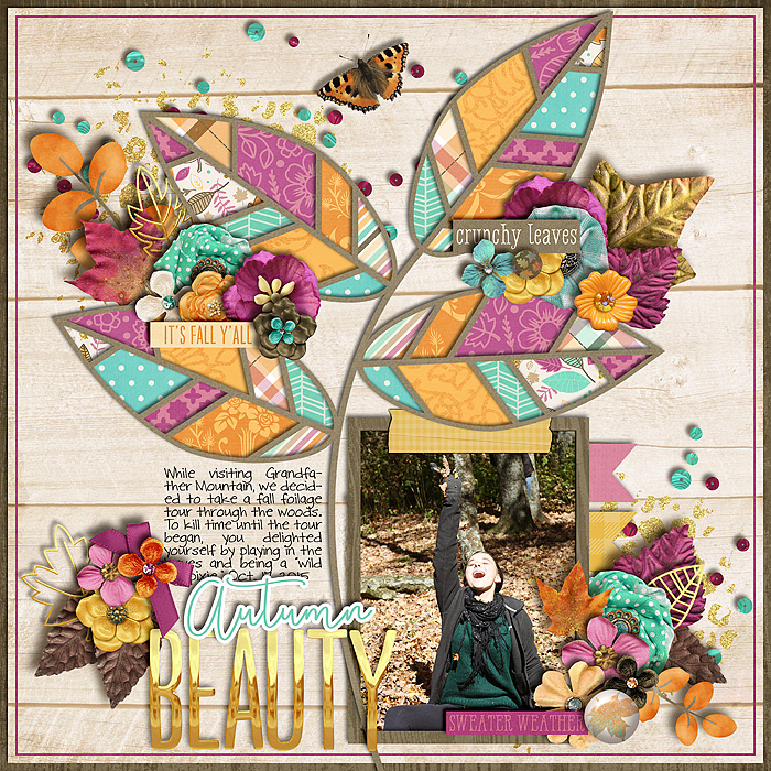 Autumn Beauty