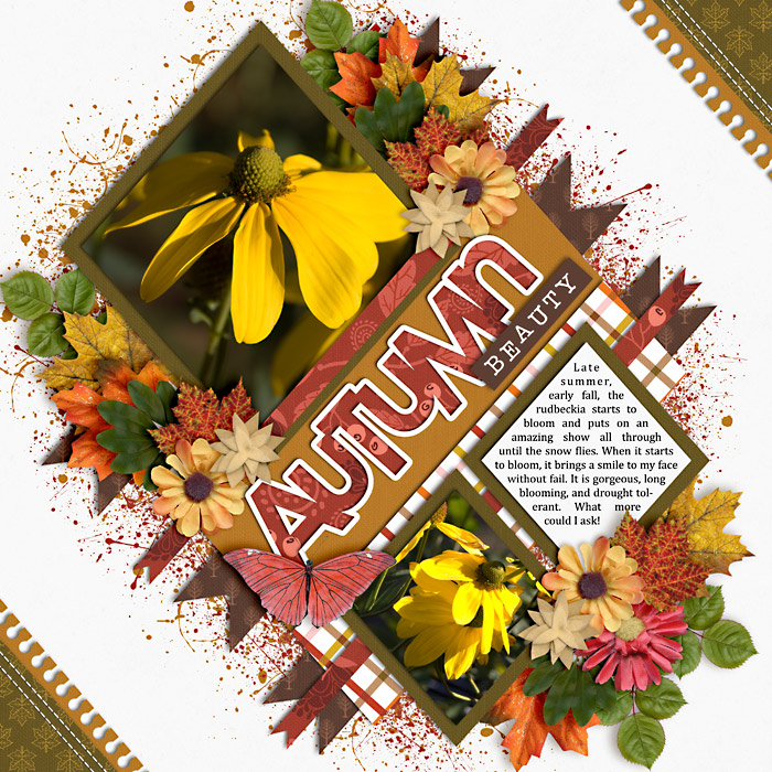 Autumn Beauty
