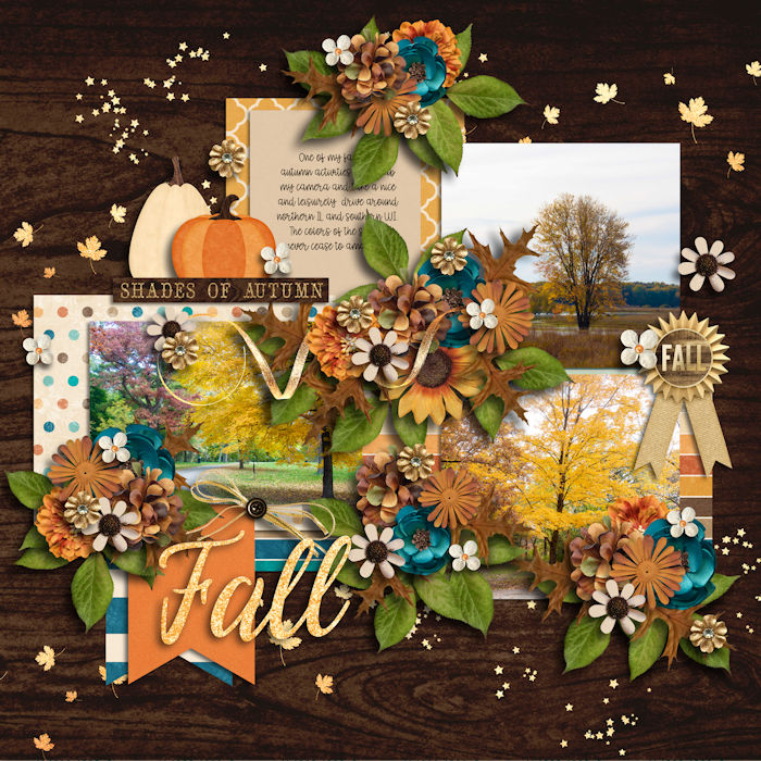 Autumn Beauty