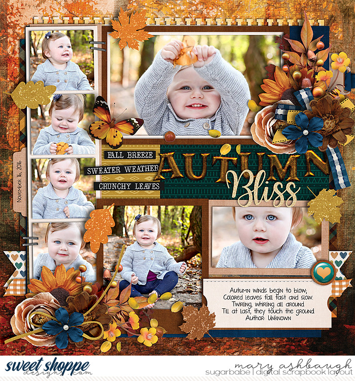 Autumn Bliss