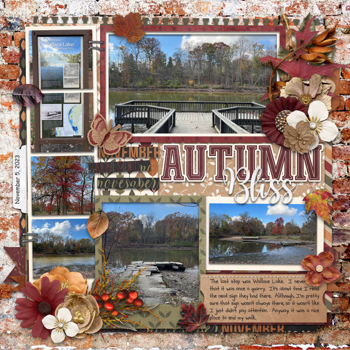 Autumn Bliss