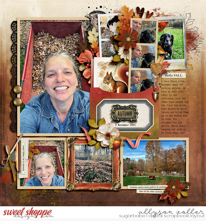 Autumn clean up