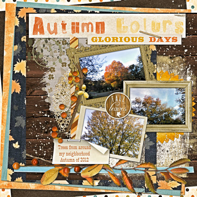 Autumn Colors