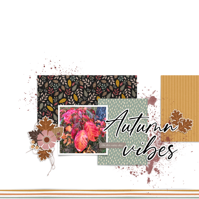 Autumn Colors