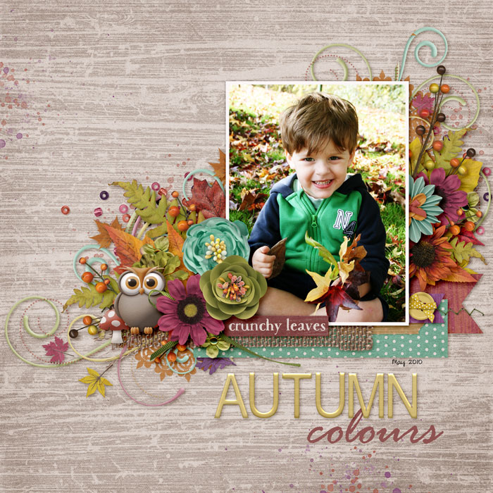 Autumn Colours