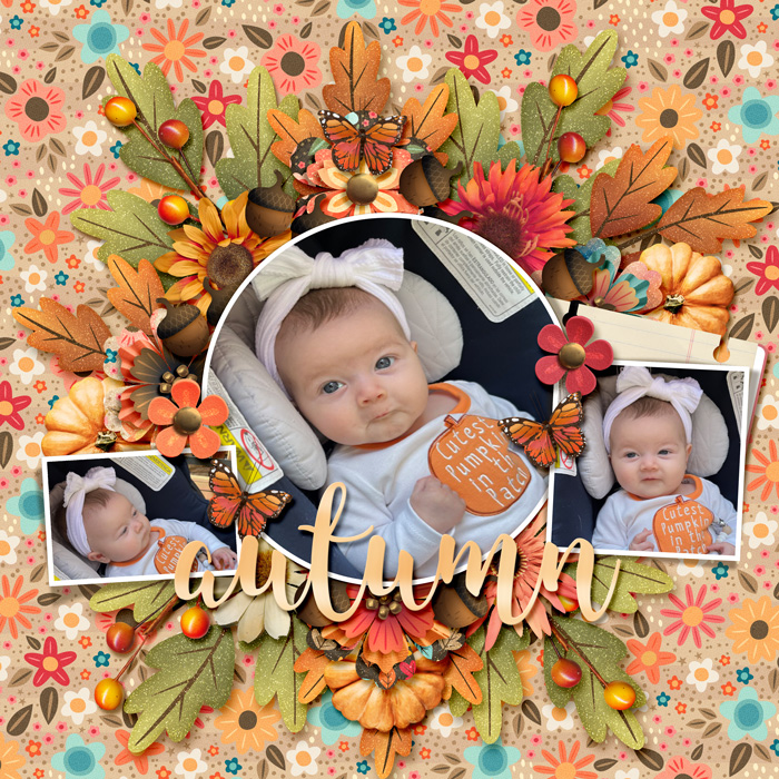 Autumn Cutie