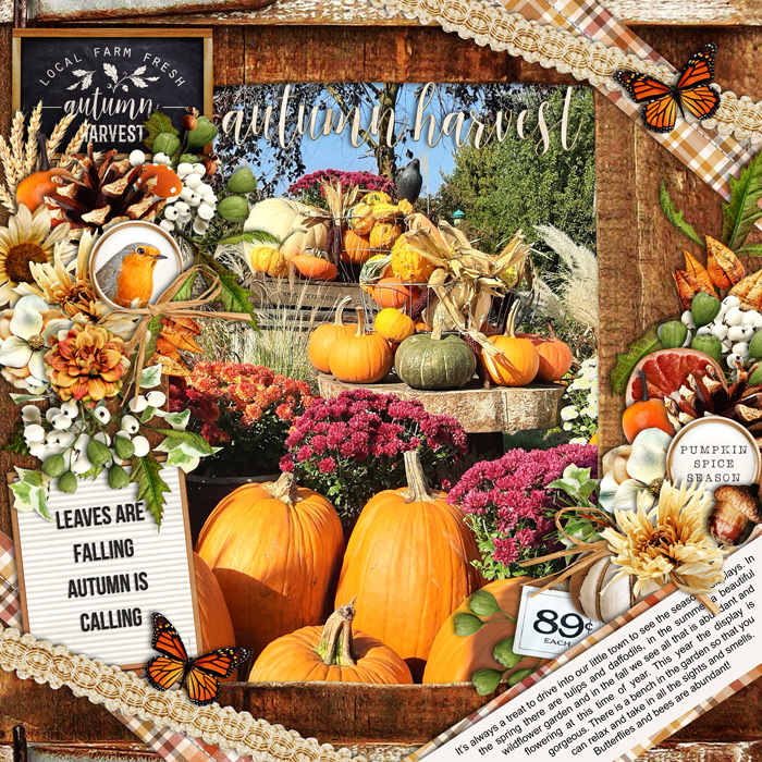 Autumn display