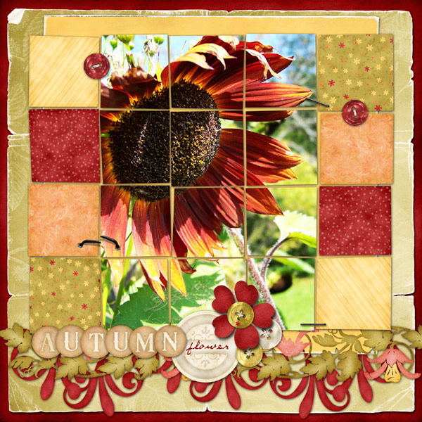 Autumn Flower