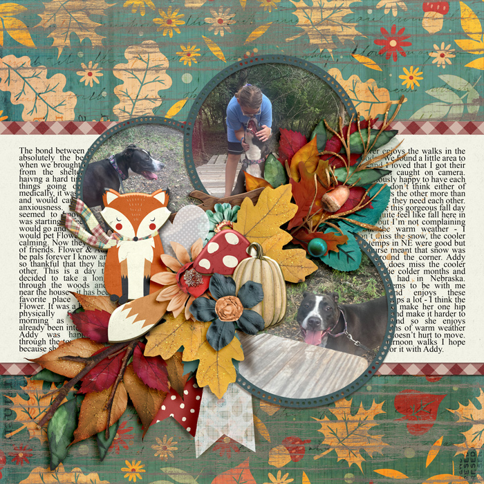 Autumn Fun