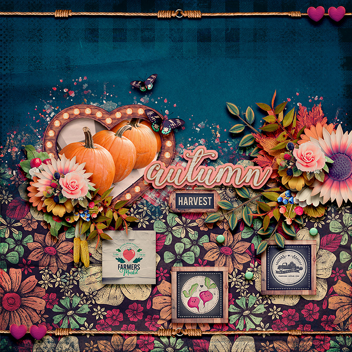 Autumn Harvest