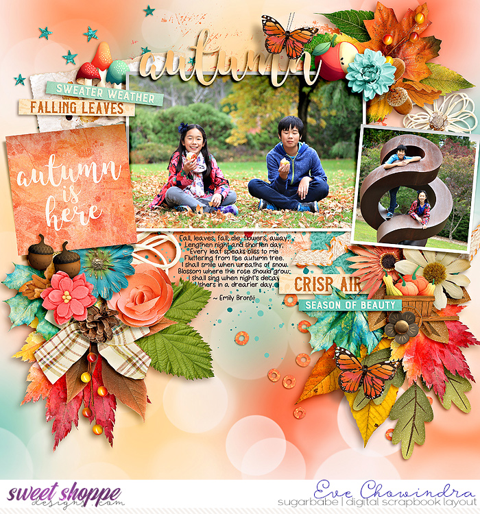 autumn is here