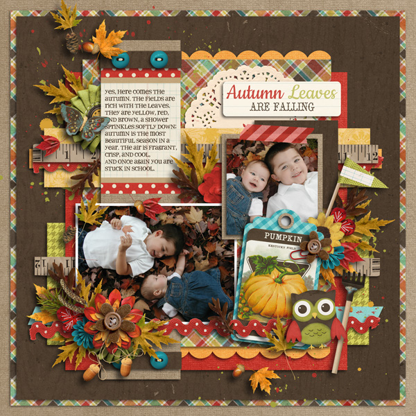Autumn Leaves are Falling