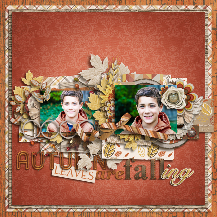 Autumn Leaves are Falling