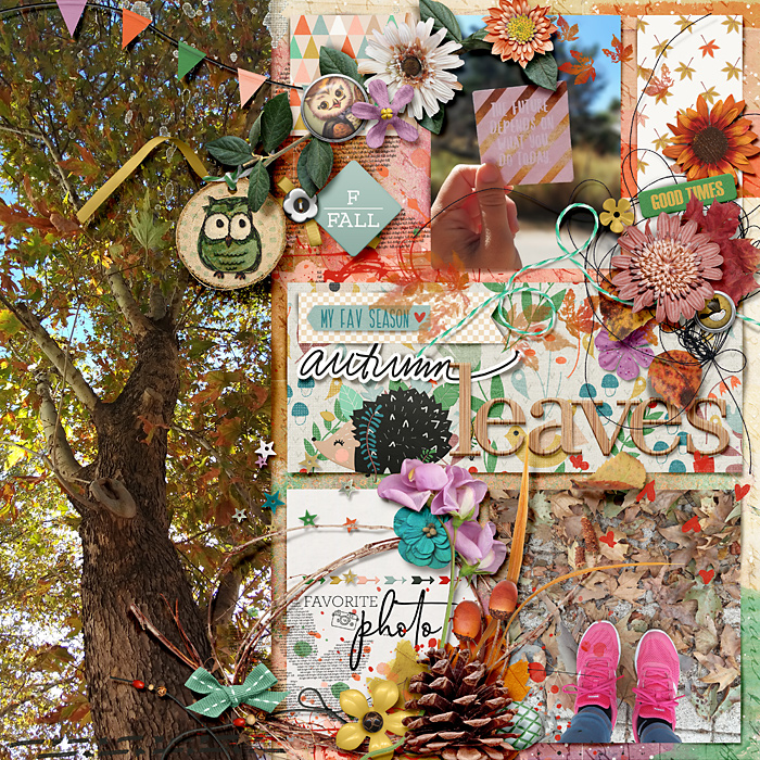 Autumn leaves