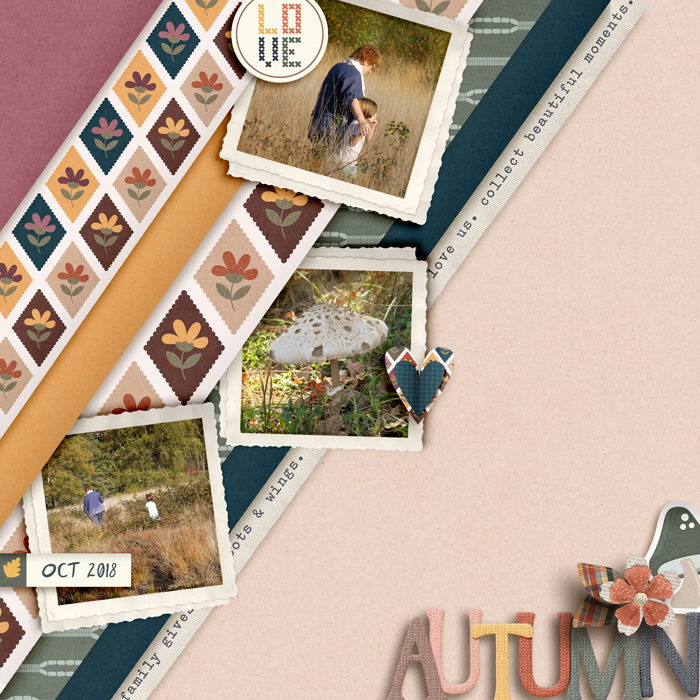 Autumn Love