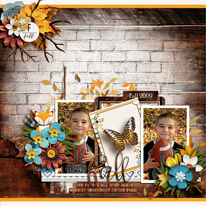 Autumn Memories 2009