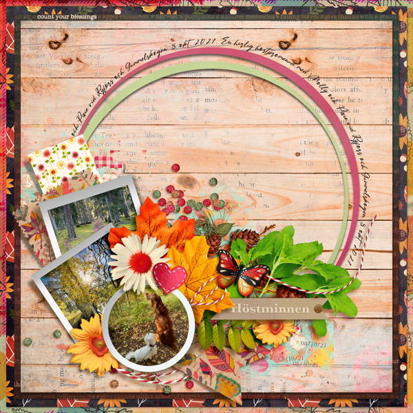Autumn Memories