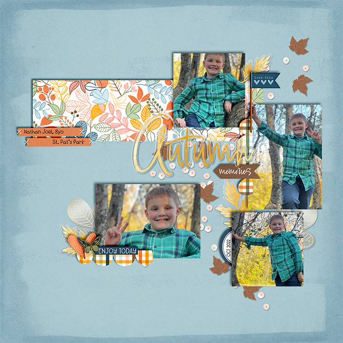 Autumn Memories