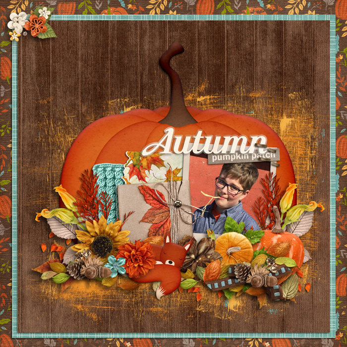 Autumn Pumpkin Patch