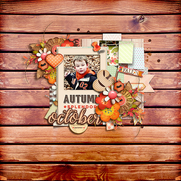 autumn splendor