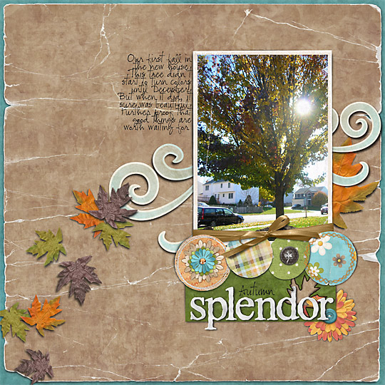 Autumn Splendor