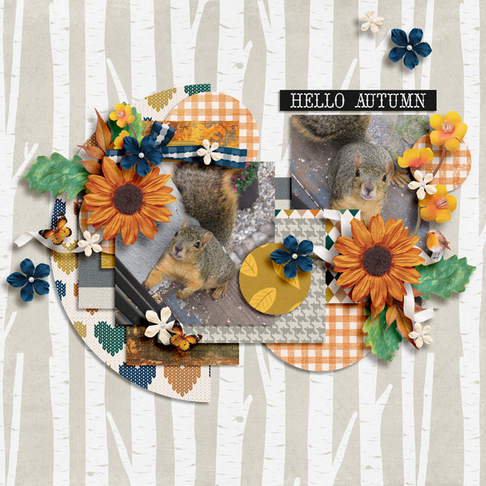 Autumn Squirrel