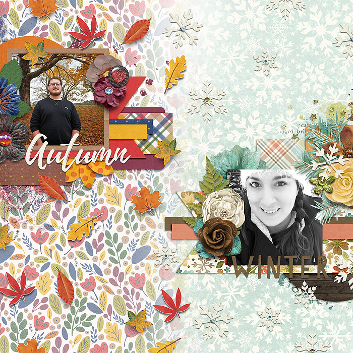 Autumn to Winter
