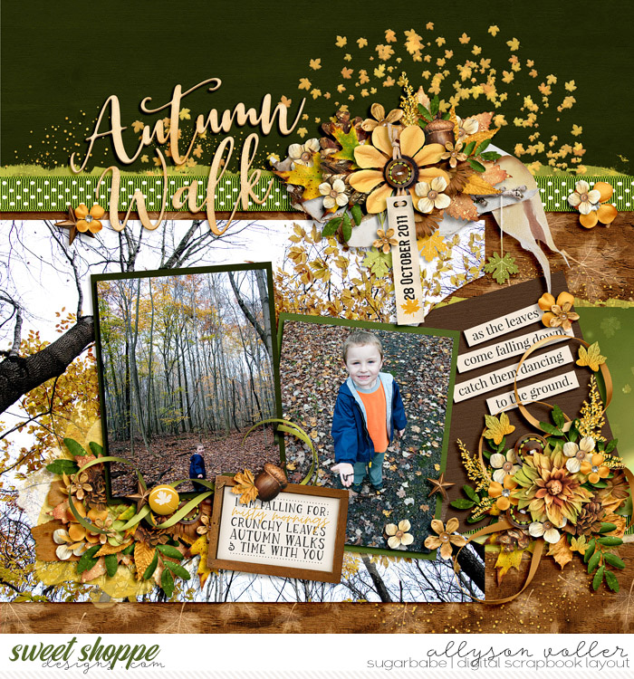 Autumn Walk