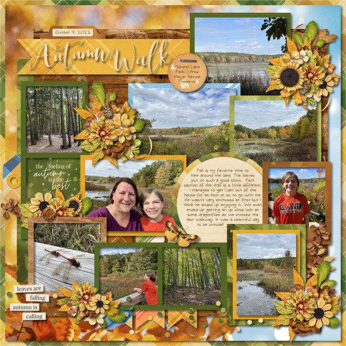 Autumn Walk
