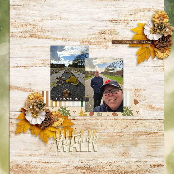 Autumn Walk